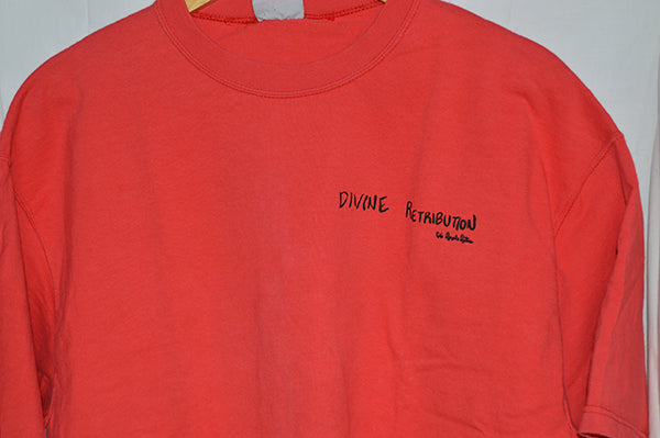 itjs x Angel's Attic Divine Retribution Tshirt (L)